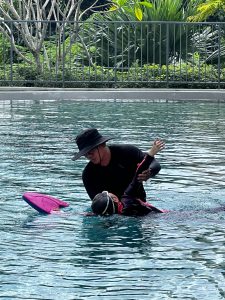 freestyle swimming for kids Singapore – learning front crawl first in warm indoor pool